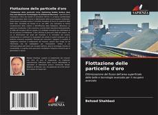 Flottazione delle particelle d'oro的封面