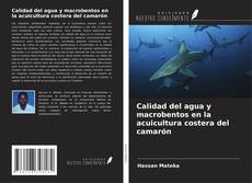 Обложка Calidad del agua y macrobentos en la acuicultura costera del camarón