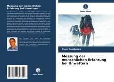 Messung der menschlichen Erfahrung bei Unwettern kitap kapağı