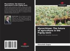 Copertina di Mycorrhizae: The future of agriculture in the Figuig oasis