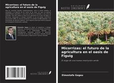 Copertina di Micorrizas: el futuro de la agricultura en el oasis de Figuig