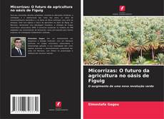 Copertina di Micorrizas: O futuro da agricultura no oásis de Figuig