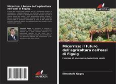 Capa do livro de Micorrize: il futuro dell'agricoltura nell'oasi di Figuig 