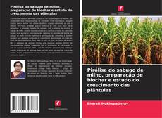 Обложка Pirólise do sabugo de milho, preparação de biochar e estudo do crescimento das plântulas