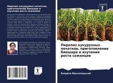 Portada del libro de Пиролиз кукурузных початков, приготовление биошара и изучение роста саженцев