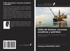 Copertina di Golfo de Guinea: recursos acuáticos y petróleo