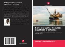 Copertina di Golfo da Guiné: Recursos aquáticos e petróleo