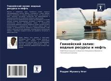 Copertina di Гвинейский залив: водные ресурсы и нефть