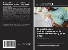 Copertina di Desigualdades socioeconómicas en la mortalidad infantil y en la niñez