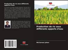 Обложка Production de riz sous différents apports d'eau