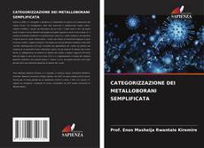 CATEGORIZZAZIONE DEI METALLOBORANI SEMPLIFICATA的封面