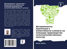 Copertina di Детерминанты адаптации к изменчивости климата на площади производства сельскохозяйственных культур