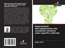 Couverture de Determinanti dell'adattamento alla variabilità climatica sulle superfici coltivate