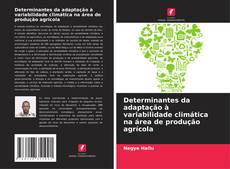 Обложка Determinantes da adaptação à variabilidade climática na área de produção agrícola