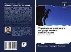 Copertina di Управление рисками в государственных организациях