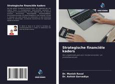 Обложка Strategische financiële kaders