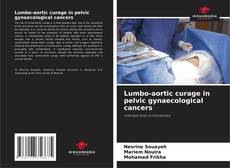 Lumbo-aortic curage in pelvic gynaecological cancers kitap kapağı