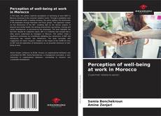 Copertina di Perception of well-being at work in Morocco