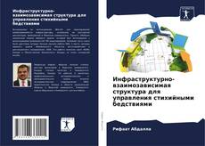 Copertina di Инфраструктурно-взаимозависимая структура для управления стихийными бедствиями