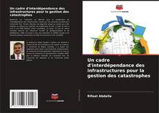 Capa do livro de Un cadre d'interdépendance des infrastructures pour la gestion des catastrophes 