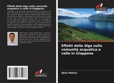 Copertina di Effetti della diga sulla comunità acquatica a valle in Giappone