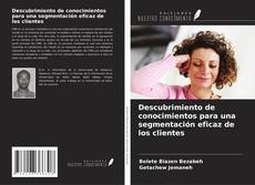 Copertina di Descubrimiento de conocimientos para una segmentación eficaz de los clientes