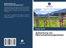 Capa do livro de Aufwertung von Überschwemmungswiesen 