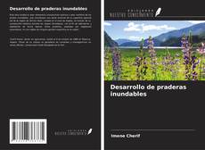 Bookcover of Desarrollo de praderas inundables