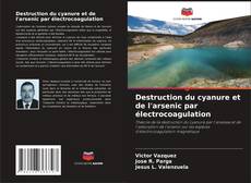 Bookcover of Destruction du cyanure et de l'arsenic par électrocoagulation