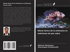Buchcover von Efecto tóxico de la eritrosina en embriones de pez cebra