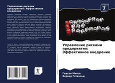 Copertina di Управление рисками предприятия: Эффективное внедрение