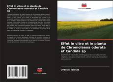Effet in vitro et in planta de Chromolaena odorata et Candida sp kitap kapağı