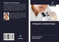 Обложка Collageen aandoeningen