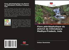 Copertina di Flore ptéridophytique du district de Chhindwara Madhya-Pradesh, Inde