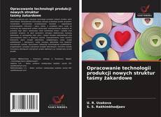 Copertina di Opracowanie technologii produkcji nowych struktur taśmy żakardowe