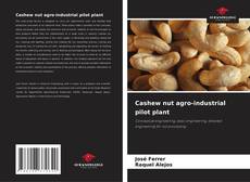 Copertina di Cashew nut agro-industrial pilot plant