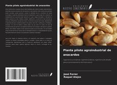 Couverture de Planta piloto agroindustrial de anacardos