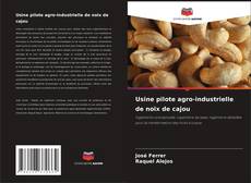 Обложка Usine pilote agro-industrielle de noix de cajou
