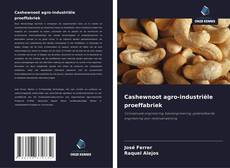 Обложка Cashewnoot agro-industriële proeffabriek