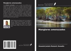 Couverture de Manglares amenazados