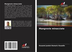 Couverture de Mangrovie minacciate