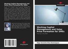 Copertina di Working Capital Management and Sales Price Formation for SMEs