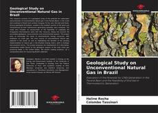 Copertina di Geological Study on Unconventional Natural Gas in Brazil