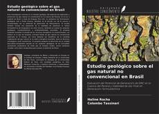 Copertina di Estudio geológico sobre el gas natural no convencional en Brasil