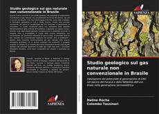 Bookcover of Studio geologico sul gas naturale non convenzionale in Brasile