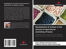 Copertina di Development of actions in the process of agricultural marketing of beans