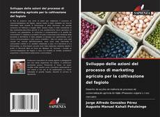Bookcover of Sviluppo delle azioni del processo di marketing agricolo per la coltivazione del fagiolo