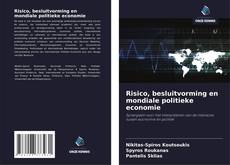 Risico, besluitvorming en mondiale politieke economie kitap kapağı