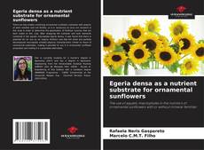 Copertina di Egeria densa as a nutrient substrate for ornamental sunflowers