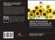 Buchcover von Egeria densa comme substrat nutritif pour les tournesols ornementaux